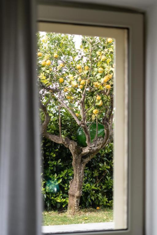 La Talega Bed & Breakfast Otranto